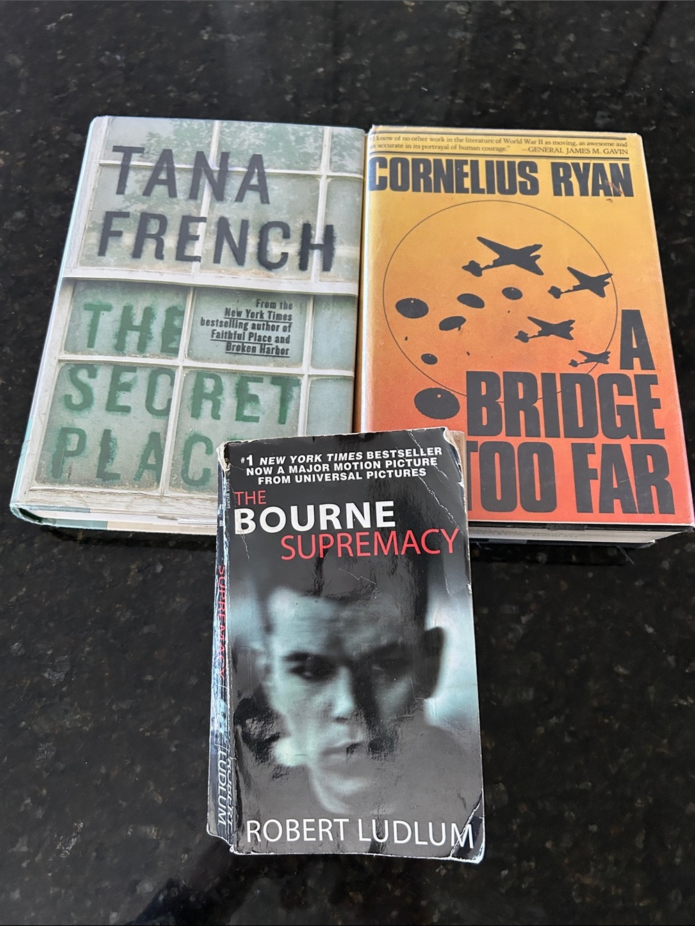 Lot of 3 adult novels, Tana French, C Ryan, R Ludlum